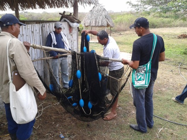 Proyecto Terrazul 2004